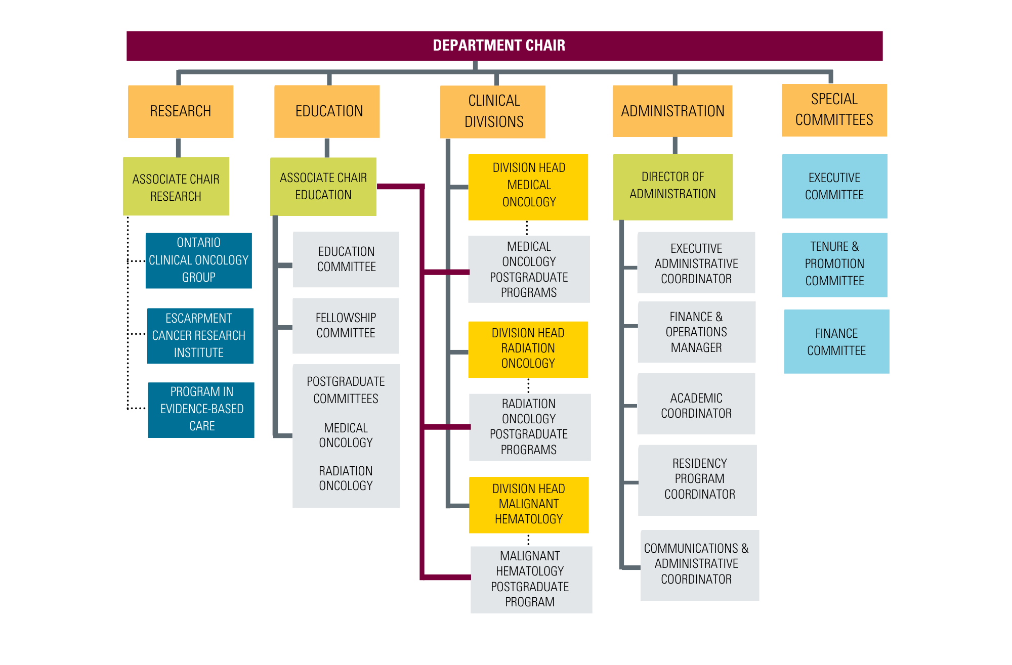 Department of Oncology Organizational Structure